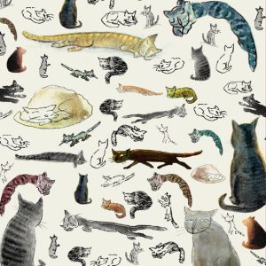 دفترچه یادداشت بدون هیچ دلیلی